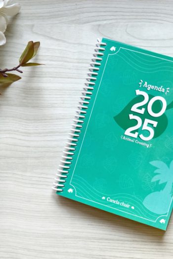 Agenda animal crossing canela chair 2025